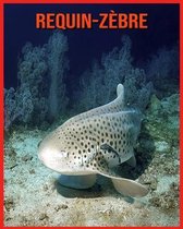 Requin-Zebre