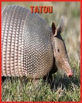 Tatou