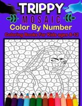 Trippy Mosaic Color By Number Coloring Books For Kids ages 8-12