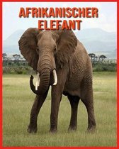 Afrikanischer Elefant