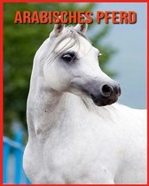 Arabisches Pferd