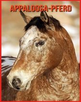 Appaloosa-Pferd