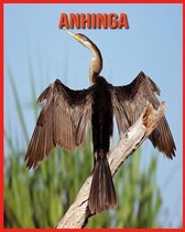 Anhinga