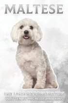 Fun Facts on Dogs for Kids- Maltese
