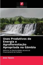 Usos Produtivos de Energia e Agroflorestação Apropriada na Gâmbia