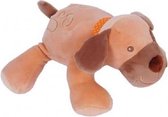Sandy - Knuffel Hond - Pluche Hondje - Heel Zachte knuffelhond - 25 cm