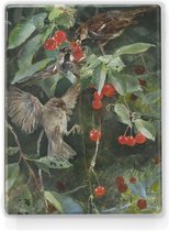 Mussen in een kersenboom - Bruno Liljefors - 19,5 x 26 cm - Niet van echt te onderscheiden schilderijtje op hout - Mooier dan een print op canvas - Laqueprint.