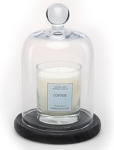 Cereria Mollà 1899 Glazen Stolp met Geurkaars 230g Cotton Cadeau Geschenk Windlicht Decoratie Interieur