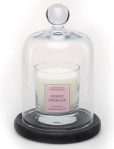 Cereria Mollà 1899 Glazen Stolp met Geurkaars 230g Nordic Angelica Windlicht Cadeau Decoratie Geschenk