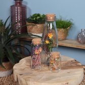 Droogbloemen - Cadeau - Geschenk in glazen flesjes - set van 3 - Rozen - Decoratie voor in huis