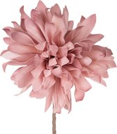 Decoratie Dijk Natural Collections Bloem Allium Foam Roze 68Cm