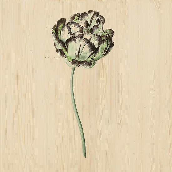 Schilderij - bloem - Collectie Botanical stories - Hout met leren lussen - 74x74cm