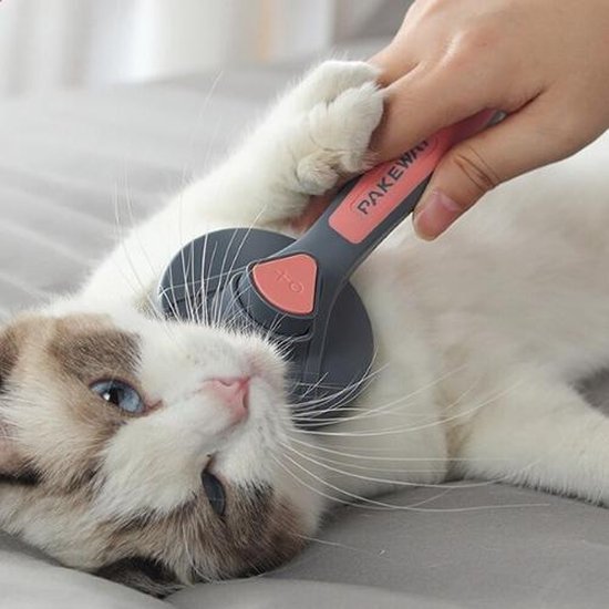 Brosse pour animaux Huisdieren Katten Verzorging Borstels & kammen 