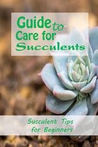 Guide to Care for Succulents: Succulent Tips for Beginners