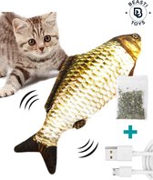 Beasti Toys elektronisch bewegende vis met kattenkruid – Catnip - Kattenkruid - Automatisch kattenspeeltje - Kattenspeeltje – Speelgoed voor katten - Bruine karper