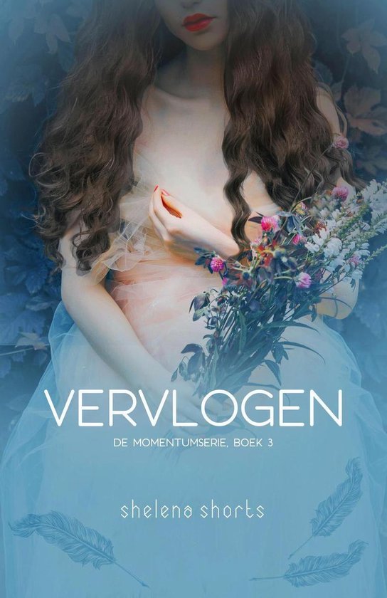 De Momentumserie 3 - Vervlogen - cover