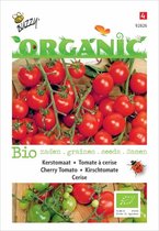 Buzzy® Organic Kerstomaten Cerise (BIO)