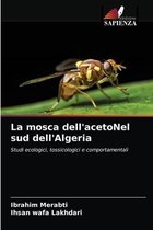 La mosca dell'acetoNel sud dell'Algeria
