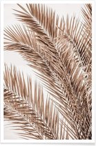 JUNIQE - Poster Palms Of Madeira 1 -13x18 /Bruin & Ivoor