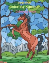 Large Print Color By Number Coloring Book: Seniors and Children Beautiful Flowers, Animals Simple Color By Numbers Coloring Book (Large Print Color By