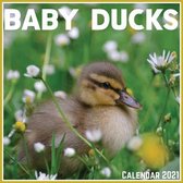 Baby Ducks Calendar 2021: Official Baby Ducks Calendar 2021, 12 Months