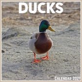 Ducks Calendar 2021: Official Ducks Calendar 2021, 12 Months