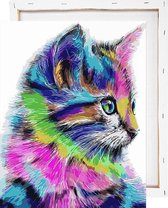 Gekleurde kat - Schilderen op nummer - Met frame - 40x50 cm