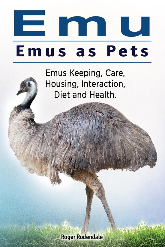 Emu. Emus as Pets. Emus Keeping, Care, Housing, Interaction, Diet and