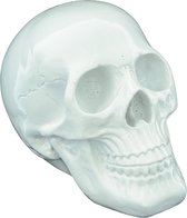 Beeld schedel klein wit - skull - doodskop - doodshoofd