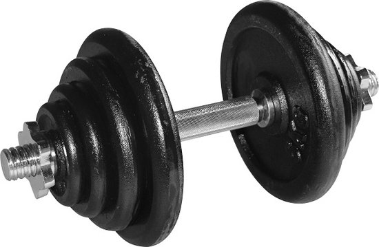 RS Sports Dumbellset - Halterset met gewichten - Totaal 40 kg - 2 stangen - zwart