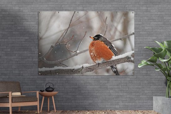 Affiche de jardin Robin sur une branche enneigée 180x120 cm - Toile de jardin / Toile d'extérieur / Peintures d'extérieur (décoration de jardin) XXL / Groot format!