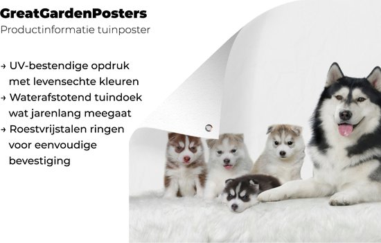 Affiche de jardin Mère avec chiots toile en vrac 60x30 cm - petit - Toile de jardin / Toile d'extérieur / Peintures pour l'extérieur (décoration de jardin)