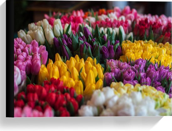 Canvas  - Verschillende Kleuren Tulpen - 40x30cm Foto op Canvas Schilderij (Wanddecoratie op Canvas)