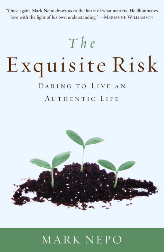 The Exquisite Risk - cover