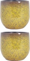 Set van 2x stuks keramiek aardewerk bloempot van H14 x D16 cm in het een goud geel flakes motief- plantenpotten