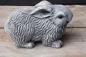 Lapin couché, image pour intérieur et extérieur