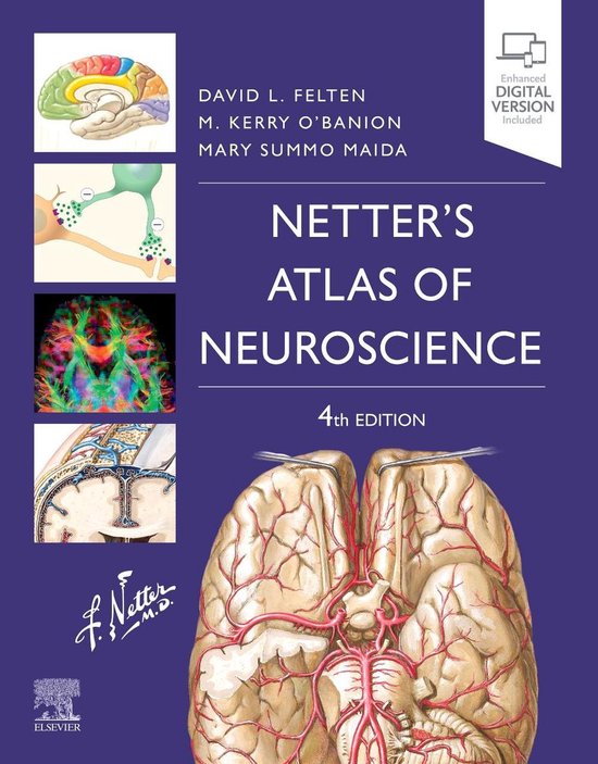 Netter's Atlas of Neuroscience - cover