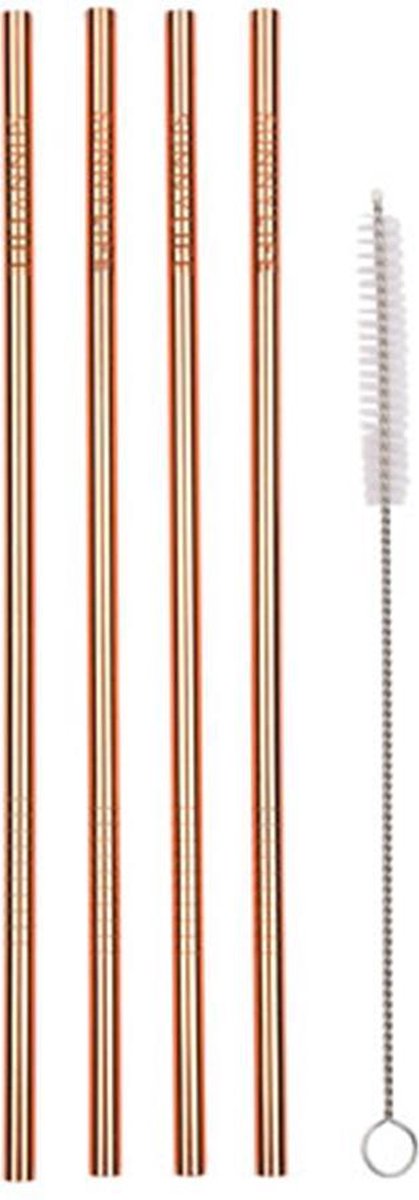 Herbruikbare Metalen Rietjes Sunnylife