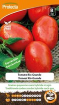 Protecta Groente zaden: Tomaat Rio Grande