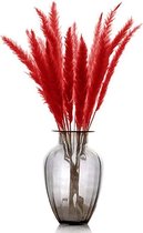 Pampas Pluimen Rood – Natuurlijke Tint - 20 stuks – Pampas Gras – 70 cm – Droogbloemen – Cortaderia – Droogbloemen Boeket – Pampasgras - Decoratie