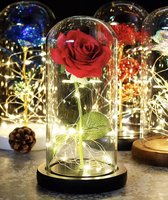 Beauty and the Beast Roos in Glas Stolp Rose - Kunstroos Valentijn - Cadeau voor Vrouw - Vriendin - Mama - Moederdag Cadeutje - Valentijnsdag - Belle en het Beest - Glazen - Multicolor - 22CM