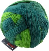 Evergreen 2168 Lace Ball 100 Zauberball Schoppel