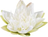 Velda Vijver Vijvertechniek Drijvende Vijverplant Lotus Wit 17Cm