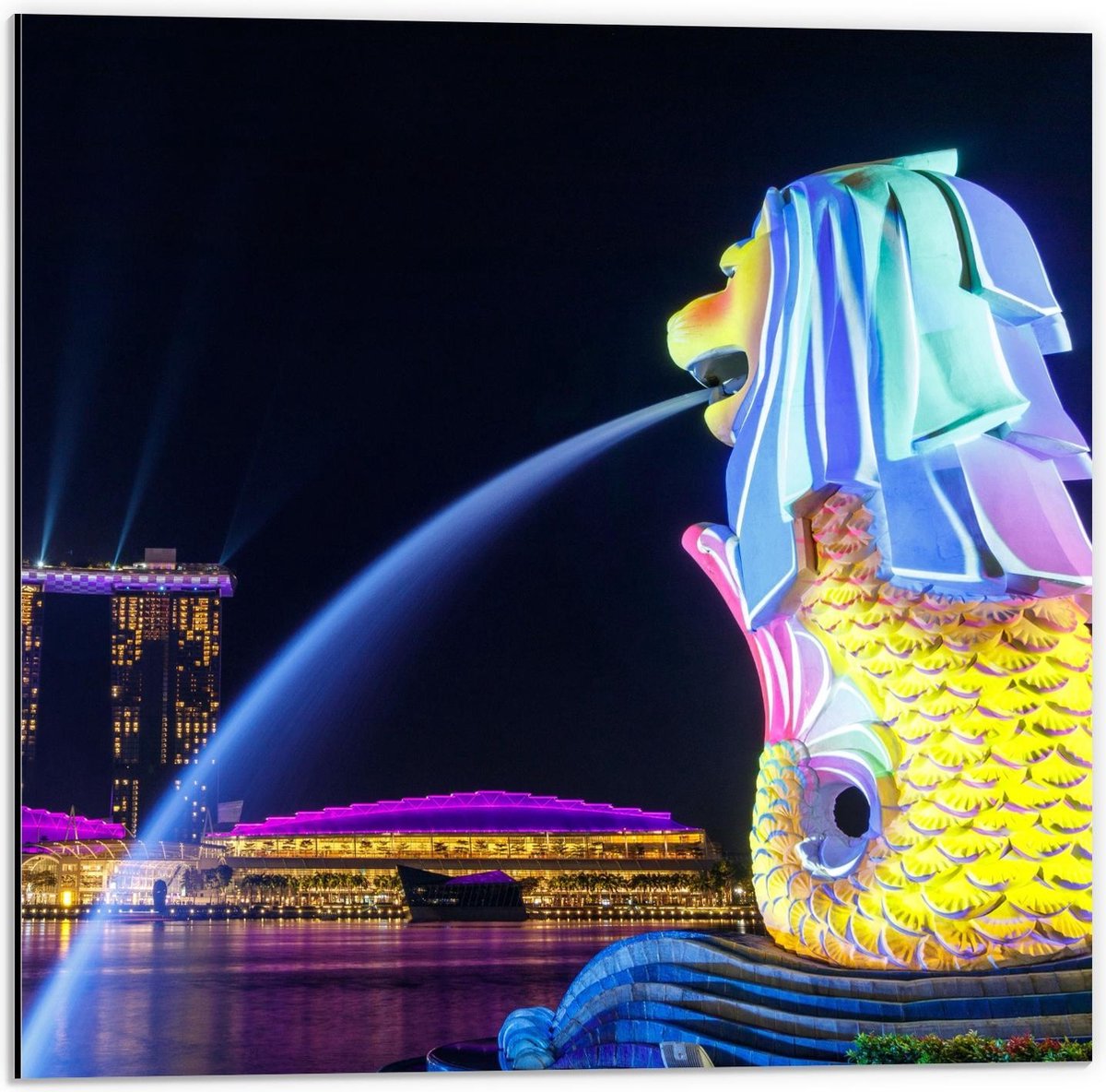 Dibond - Fontein in Merlion Park, Singapore - 50x50cm Foto op Aluminium (Met Ophangsysteem