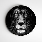 Muurcirkel Lion eyes - zwart/wit | wanddecoratie dieren (leeuw) - 60x60cm, Forex