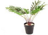 Housevitamin Kunstplant - Palm - 15x45x50cm