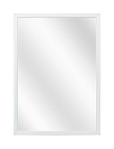 Spiegel met Luxe Aluminium Lijst - Mat Zilver - 50 x 60 cm