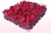 Rozenblaadjes | 100% natuurlijk | Fuchsia | 2 liter