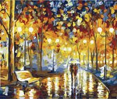 Paint by Number - Schilderen op Nummer - Nightime Walks - paintbynumber.eu