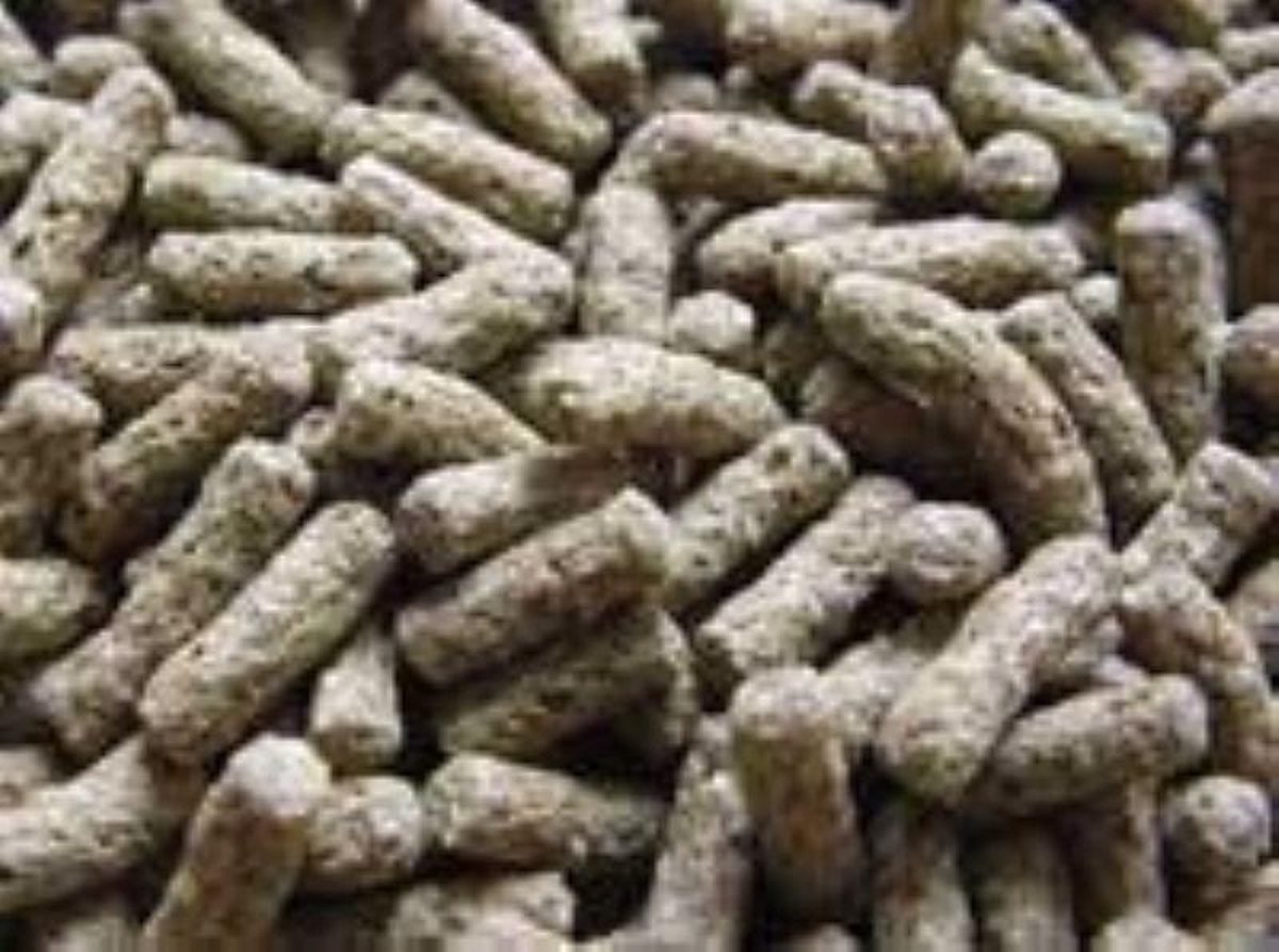 Schildpaddensticks Bruin  ( 5 liter emmer )